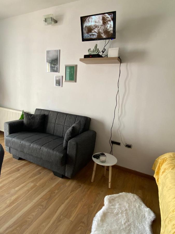 Green Studio Timisoara Bagian luar foto