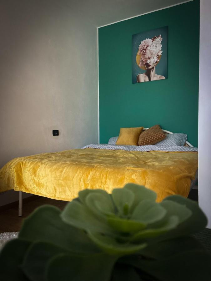 Green Studio Timisoara Bagian luar foto